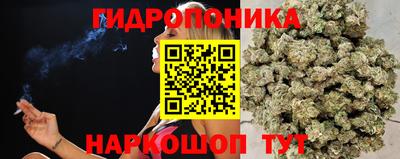 гашик Бугуруслан